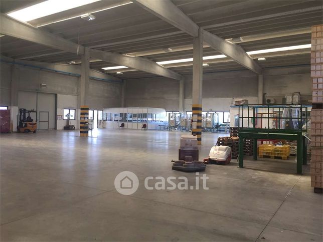 Capannone in commerciale in Strada Provinciale 610 Selice