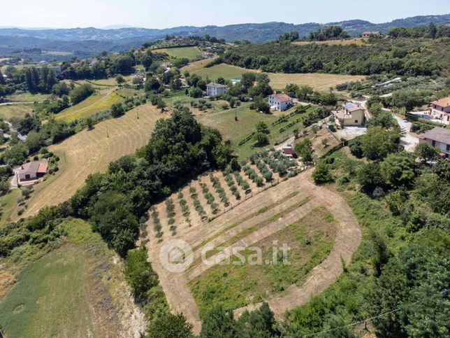 Casa indipendente in residenziale in Frazione Monteluiano