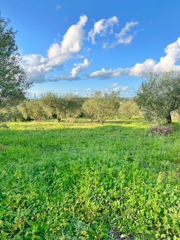 Terreno agricolo in commerciale in 