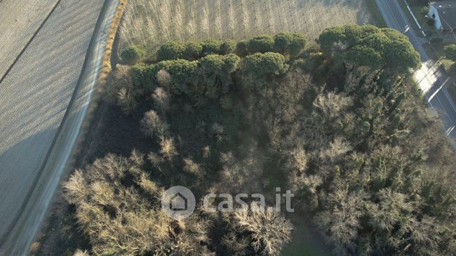 Terreno agricolo in commerciale in Via Romea