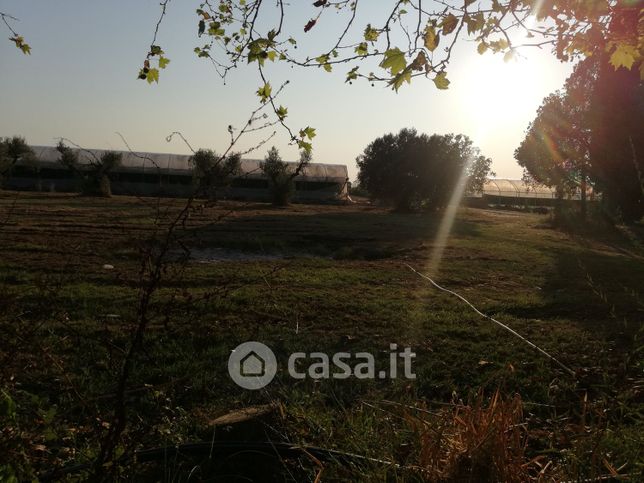 Capannone in commerciale in Ponte Maggiore