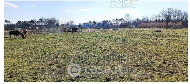 Terreno agricolo in commerciale in Via Ponticelli