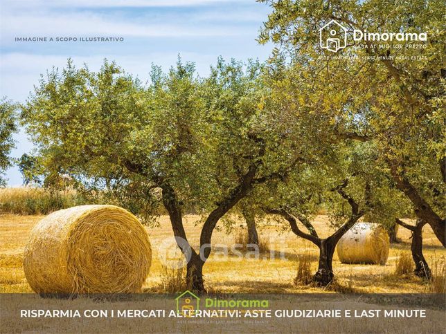 Terreno agricolo in commerciale in Località Rienazzu