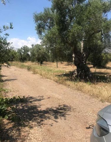Terreno agricolo in commerciale in Corte del Re