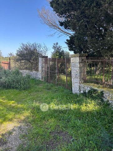 Terreno agricolo in commerciale in Contrada URSELLI