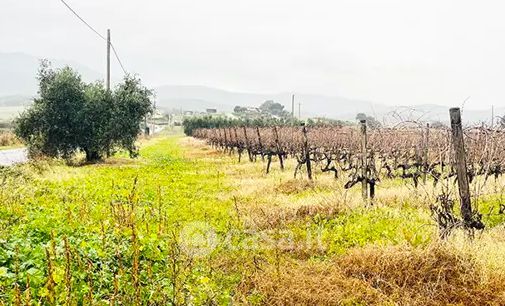 Terreno agricolo in commerciale in Località Ponti di Badia