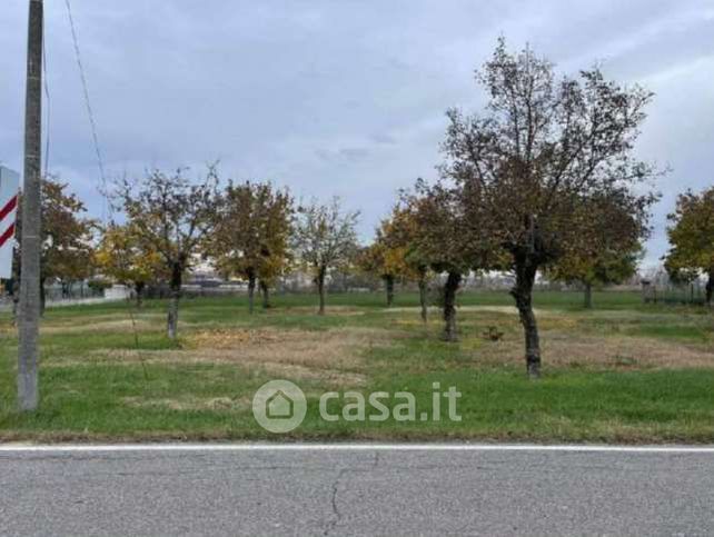 Terreno agricolo in commerciale in Strada Ronchi