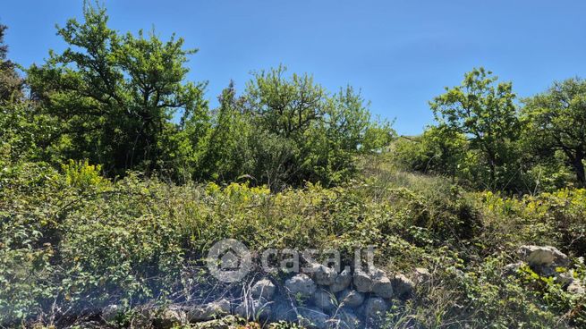 Terreno agricolo in commerciale in Contrada Pinita