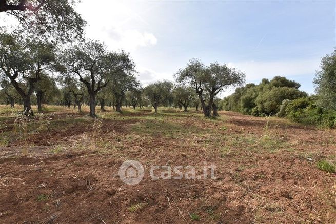 Terreno agricolo in commerciale in Strada Statale 291 della Nurra