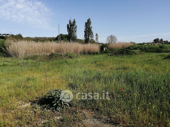 Terreno agricolo in commerciale in Via Collelungo