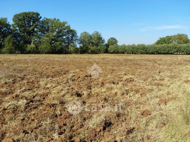 Terreno agricolo in commerciale in 