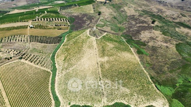 Terreno agricolo in commerciale in Strada Senza Nome