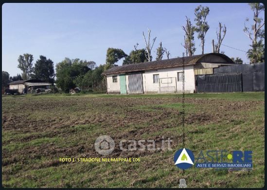 Terreno agricolo in commerciale in Via Prato Cesarino 49