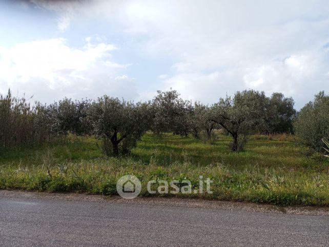 Terreno agricolo in commerciale in Strada Provinciale 56