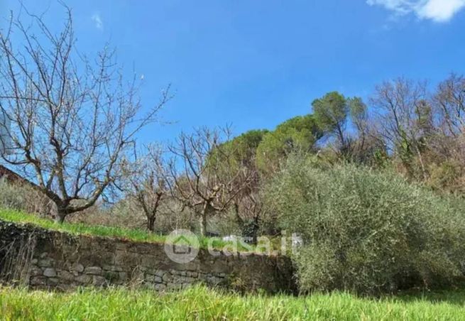 Terreno edificabile in residenziale in Via del Cantalupo