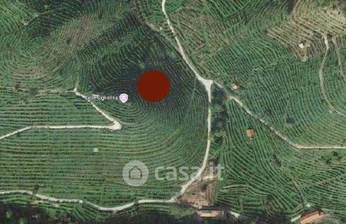 Terreno agricolo in commerciale in Via Scandolera