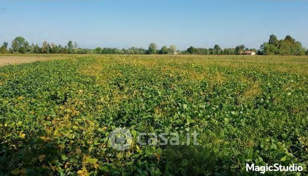 Terreno agricolo in commerciale in Strada Provinciale 60