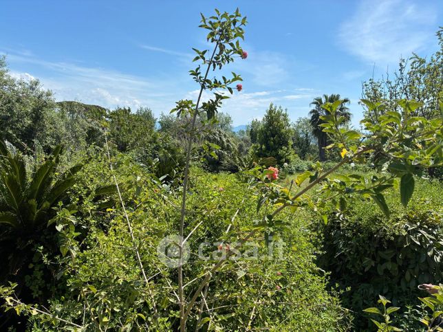 Terreno agricolo in commerciale in Via Marechiaro 15
