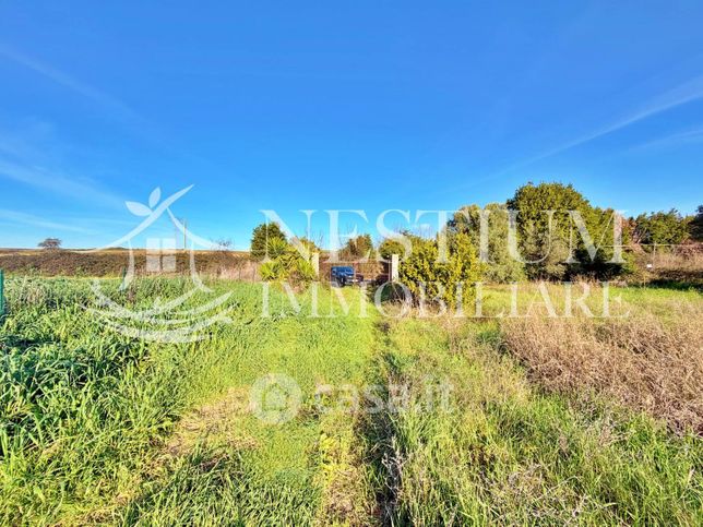 Terreno agricolo in commerciale in Via di Santo Stefano 155