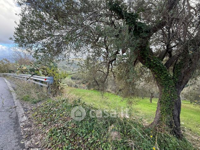 Terreno agricolo in commerciale in 