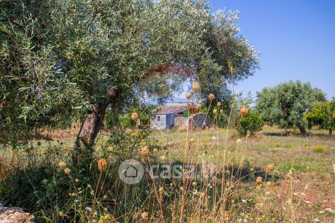 Terreno agricolo in commerciale in 