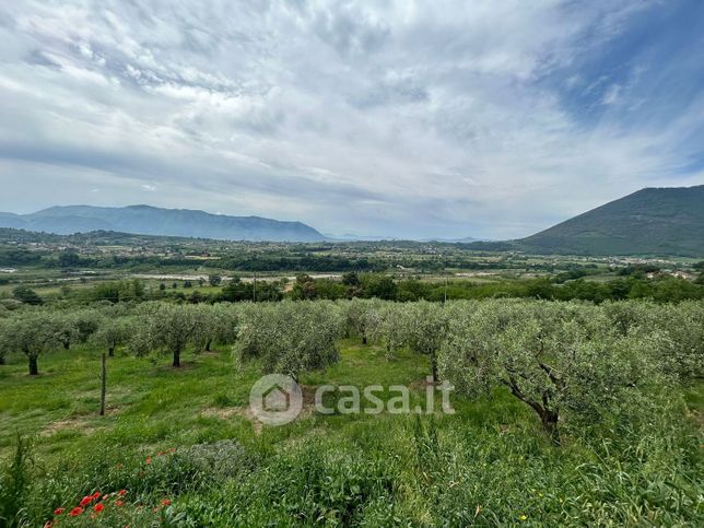 Rustico/casale in residenziale in Via Cellarulo 47