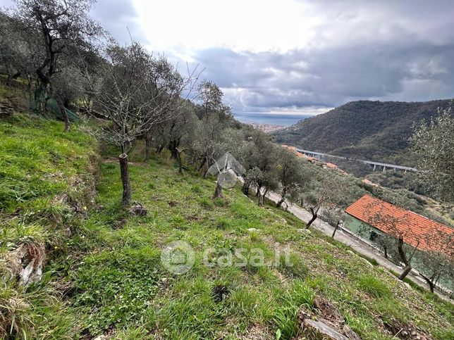 Terreno agricolo in commerciale in Via per Maxena