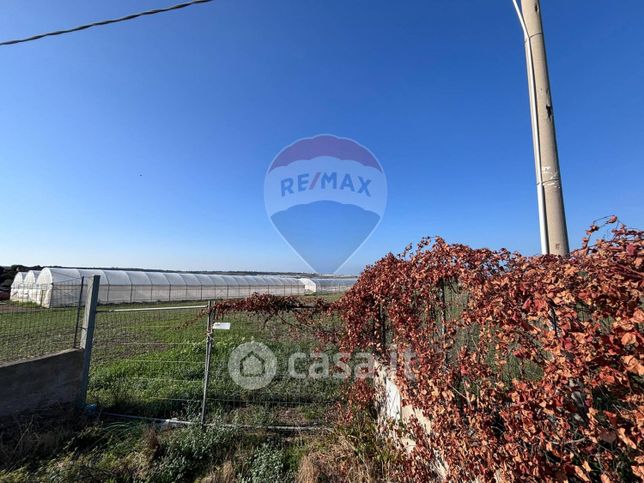 Terreno agricolo in commerciale in Contrada Saiazza