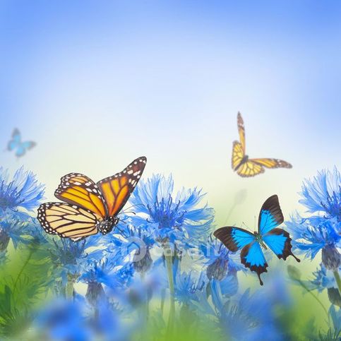 Terreno edificabile in residenziale in MILANO