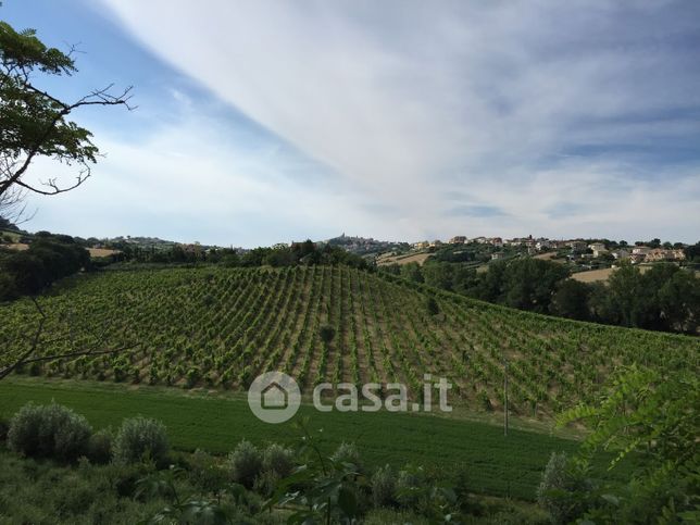 Terreno agricolo in commerciale in Strada Comunale Pozzetto 2612