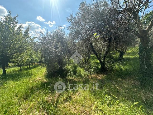 Terreno agricolo in commerciale in Via del Sorbo 1