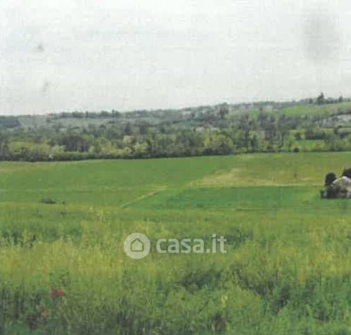 Terreno agricolo in commerciale in Strada Filagni