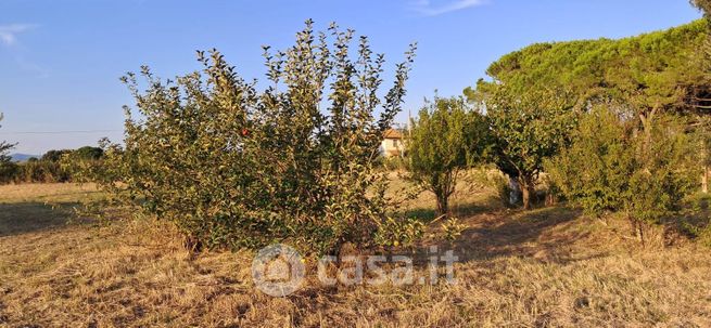 Terreno agricolo in commerciale in Strada Marrucheto