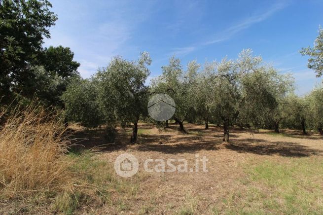 Terreno agricolo in commerciale in Strada Sant'Andrea 1