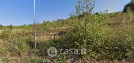 Terreno agricolo in commerciale in Via Radici Sud