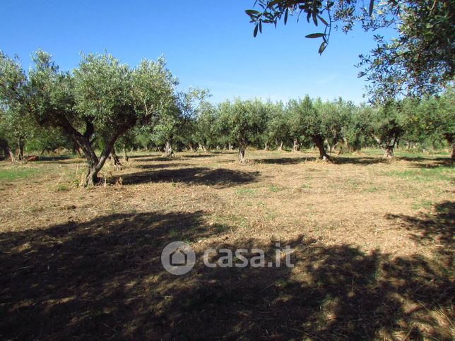 Terreno agricolo in commerciale in