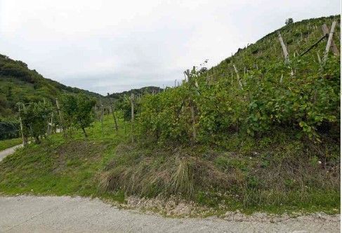 Terreno agricolo in commerciale in Via Scandolera