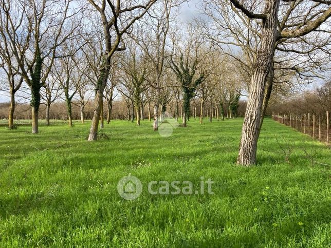 Terreno agricolo in commerciale in Via dei Creti