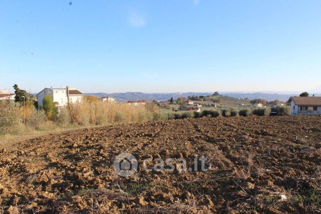 Terreno agricolo in commerciale in Strada Giardino