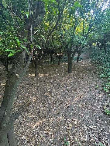 Terreno agricolo in commerciale in Via Villanova