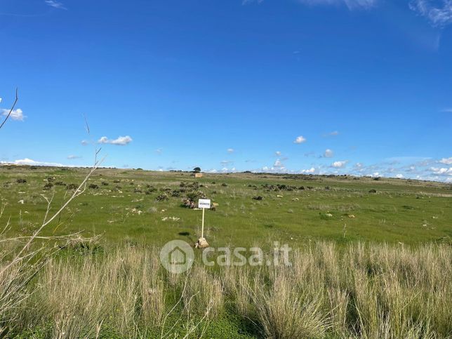 Terreno agricolo in commerciale in Contrada Campana Timpone Russo