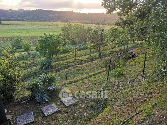 Terreno agricolo in commerciale in Strada Comunale di Pian di Campi