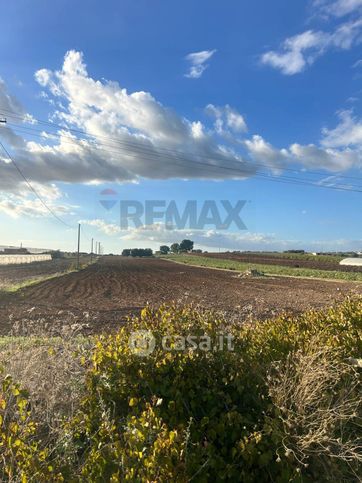 Terreno agricolo in commerciale in Strada Senza Nome