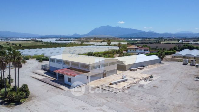 Capannone in commerciale in provinciale SCORZIELLO 308