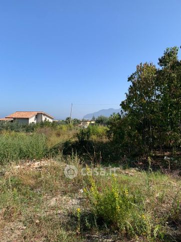 Terreno agricolo in commerciale in Via Brindisi