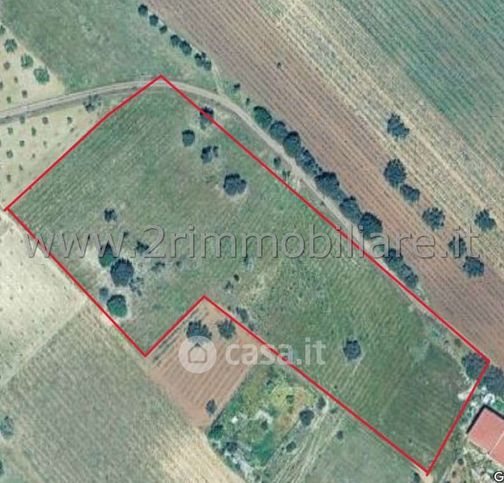 Terreno agricolo in commerciale in Strada Statale 115