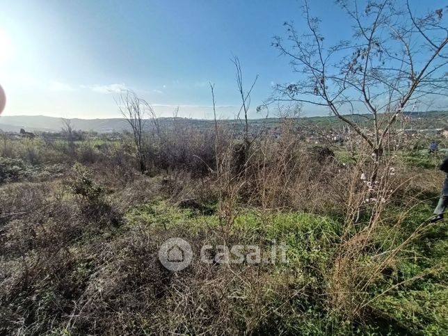 Terreno agricolo in commerciale in falciano