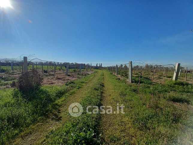 Terreno agricolo in commerciale in Strada Don Luca