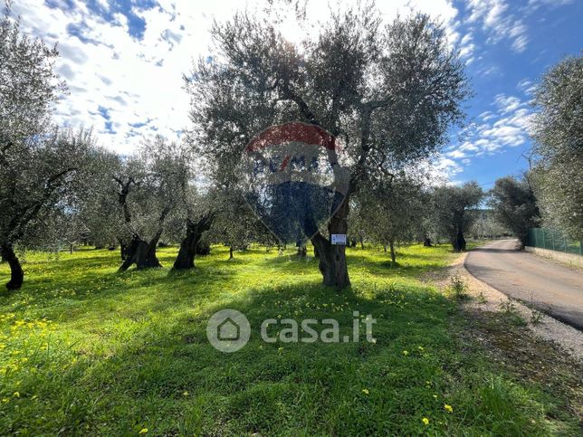 Terreno agricolo in commerciale in Strada Senza Nome