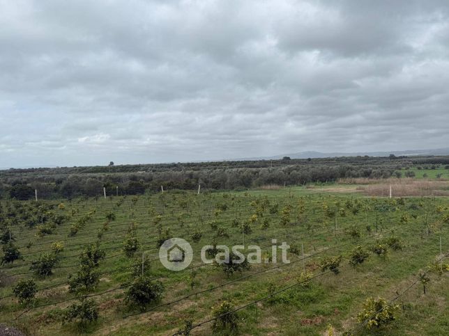 Terreno agricolo in commerciale in Via San Rocco Palata